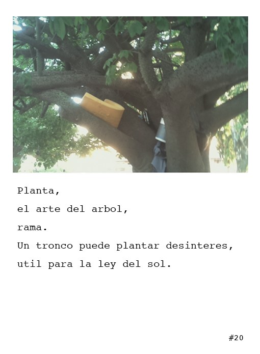 Poetografía 20